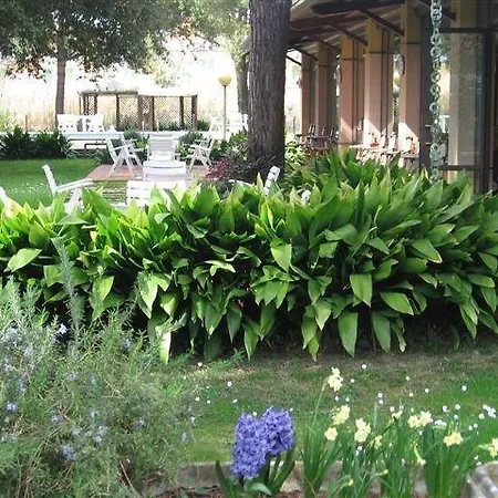 Hotel Alcione 3*