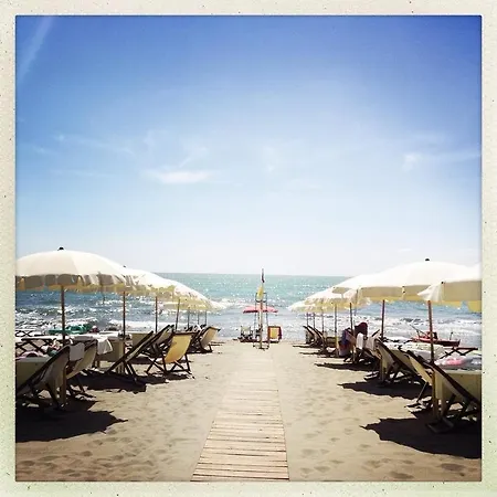 Alcione Marina di Massa