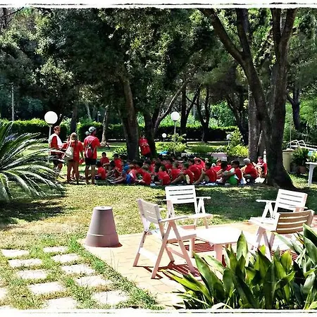 Alcione Hotel Marina di Massa